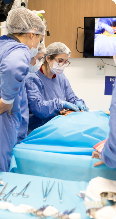 bioskills lab participants testing in surgery